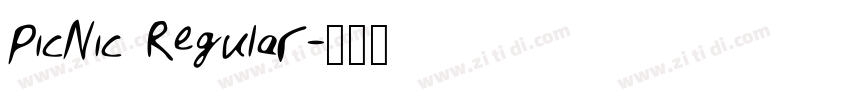 PicNic Regular字体转换